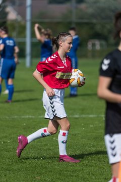 Bild 76 - F SV Henstedt Ulzburg II - SSC Hagen Ahrensburg : Ergebnis: 0:4